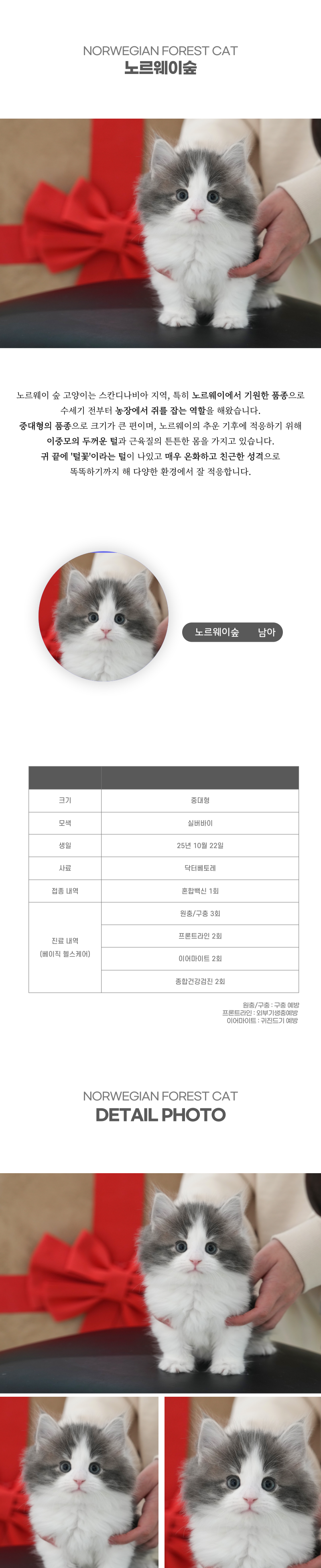 노르웨이숲_상세이미지_2